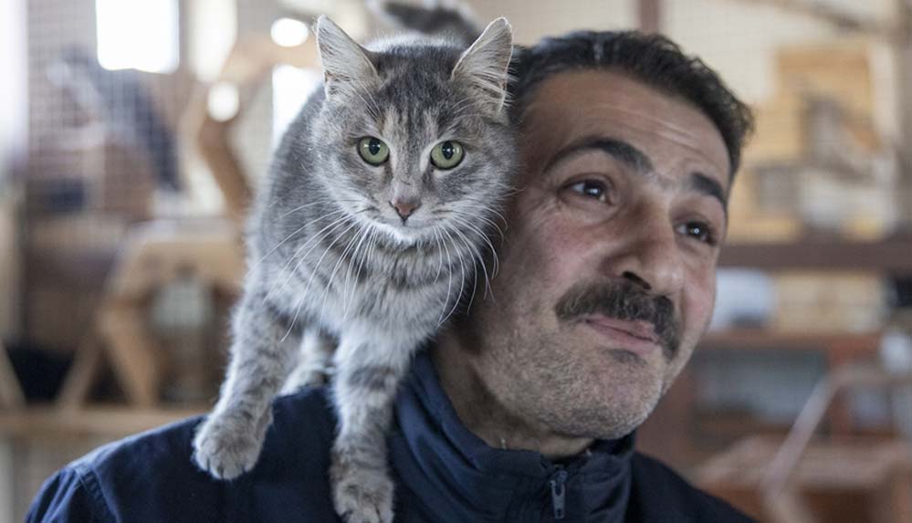Dondurucu-soğukların-yaşandığı-Erzurum'da-sahipsiz-hayvanlara-'sıcak-yuva'-imkanı