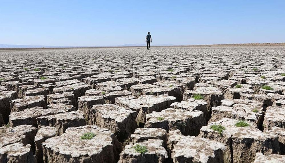 Dünyada her 5 saniyede bir futbol sahası büyüklüğünde toprak yok oluyor 4 Dünyada-her-5-saniyede-bir-futbol-sahası-büyüklüğünde-toprak-yok-oluyor