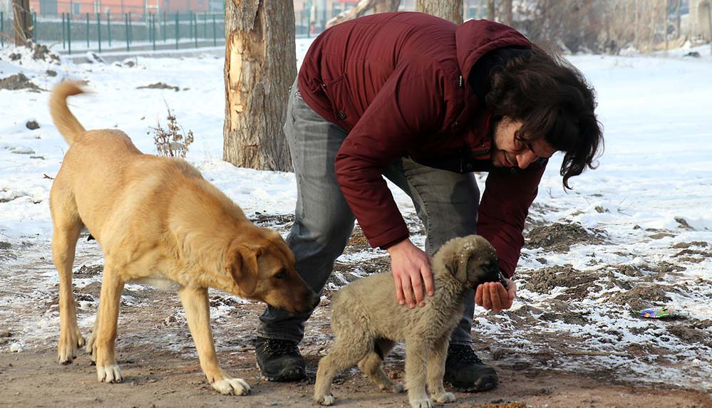 Ağrı'da-üç-öğretmen-dondurucu-soğukta-sokak-hayvanlarının-yardımına-koşuyor-1