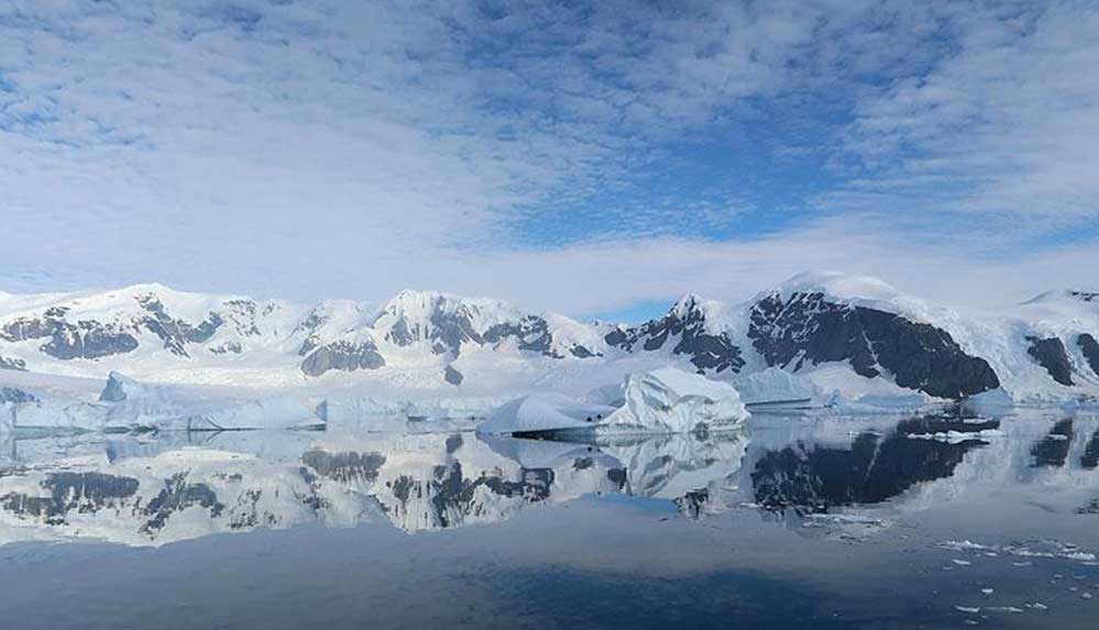 Araştırma: Gemilere tutunan canlılar, Antarktika'nın ekosistemini tehdit edebilir