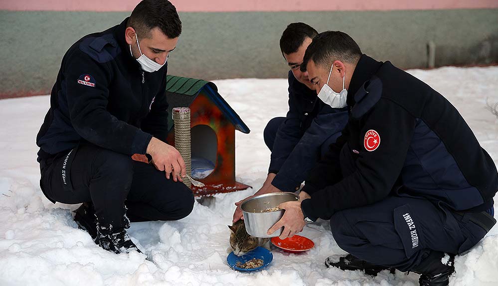 Ceza infaz kurumu personeli ve hükümlülerden 'can dostlar'a şefkat eli