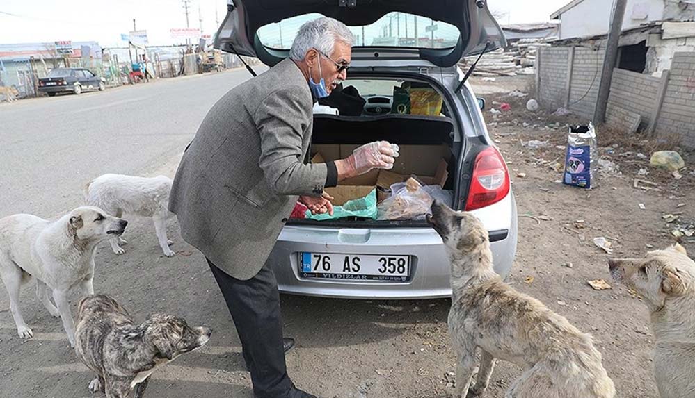 Sokak-hayvanlarını-38-yıldır-yazın-susuz,-kışın-da-yiyeceksiz-bırakmıyor
