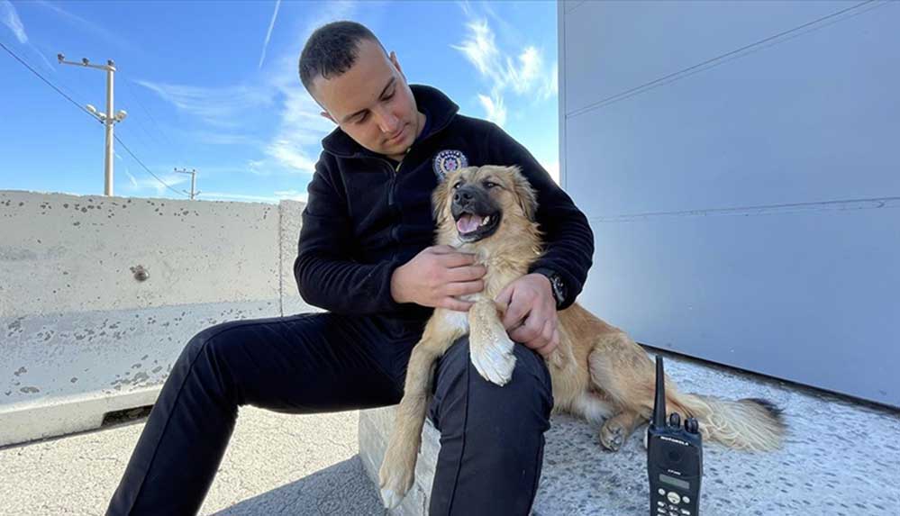 Polislerin-yaralı-bulduğu-köpek,-uygulama-noktasının-'Şeker'i-oldu