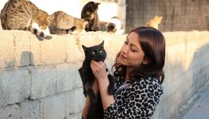 Siirtli genç kız sokak kedilerinin gönüllü bakıcısı oldu