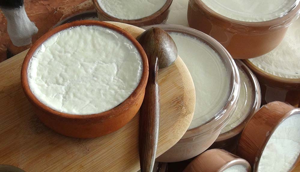 Silifke-yoğurdu-coğrafi-işaretle-tescillendi