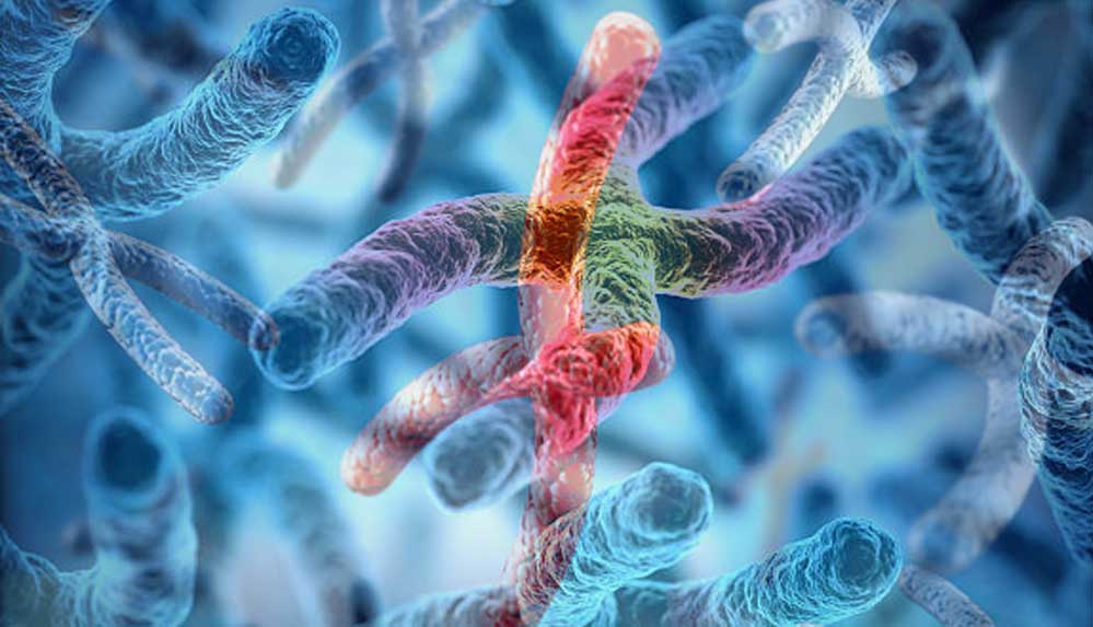 Telomer nedir? Sigara ve uykusuzluk telomerleri nasıl kısaltıyor?