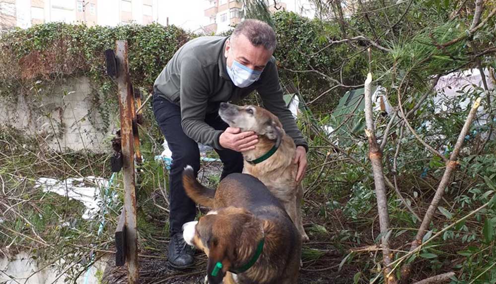 Zonguldak'ın hayvansever doktoru 'can dostları' için de mesai harcıyor