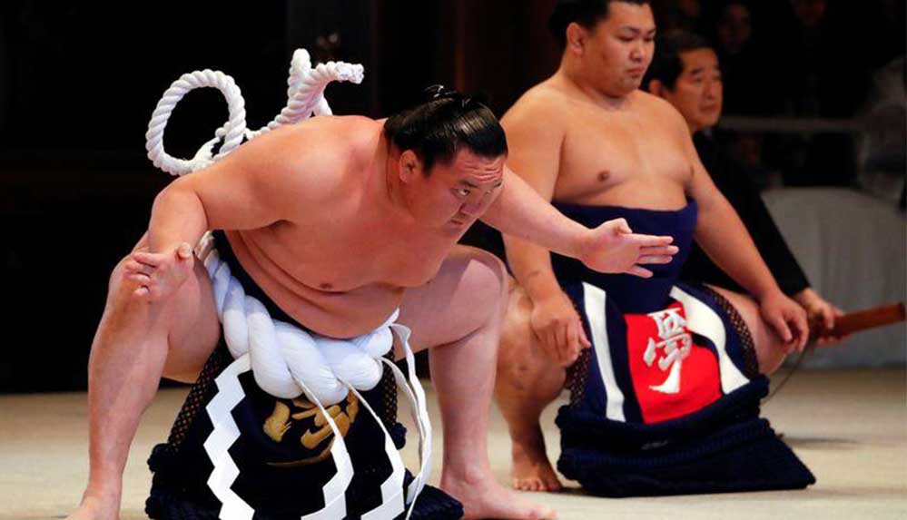 sumo
