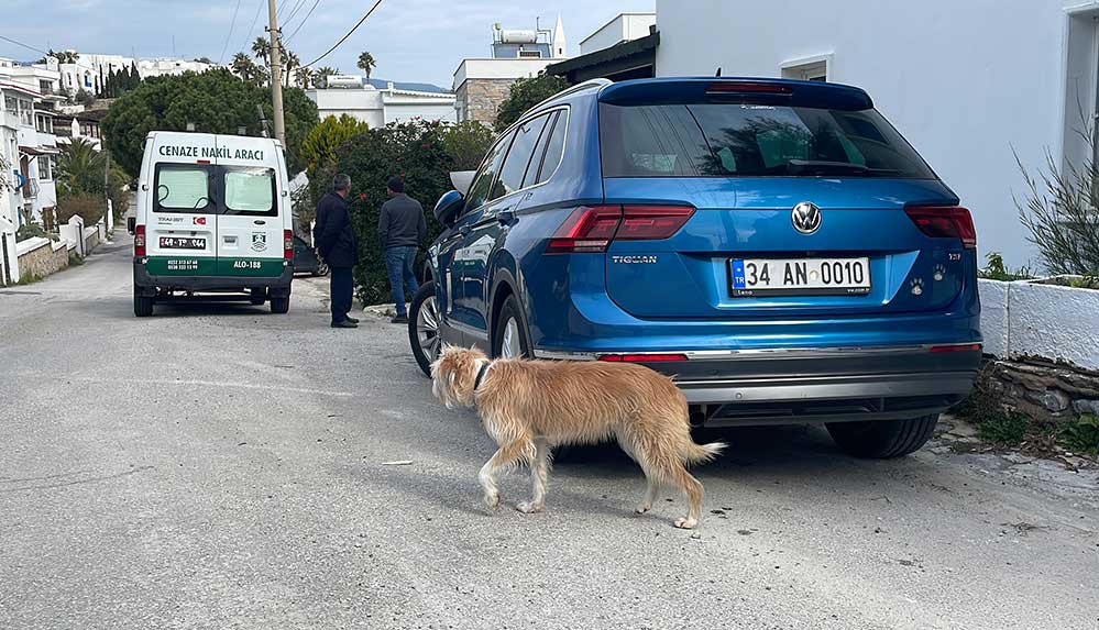 Akrep Nalan'ın vefatında kahreden kare: Köpeği Lucy cenazenin arkasında bakakaldı