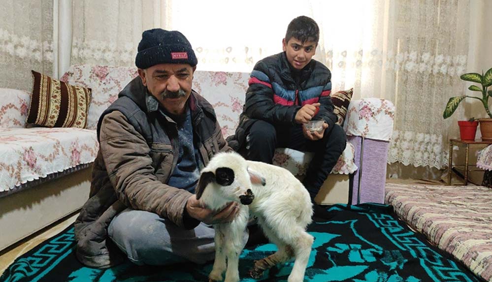 Doğum sırasında bacağı kırılan 'Batuka' evlerinin 'kuzusu' oldu