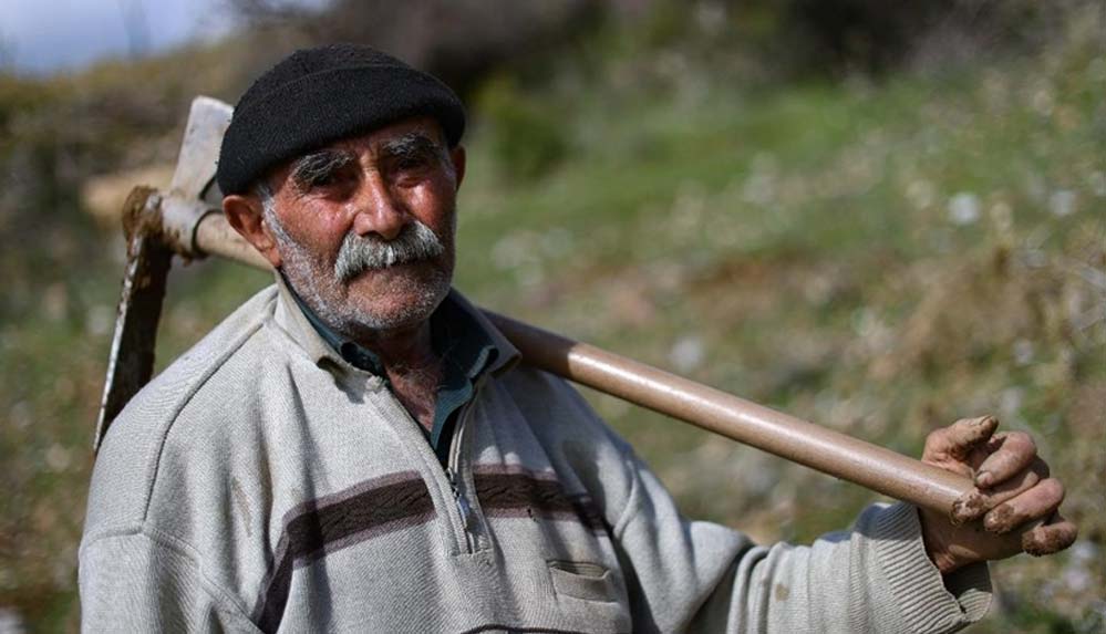 'Fidan dede' 35 yılda 550 bine yakın fidanı toprakla buluşturdu