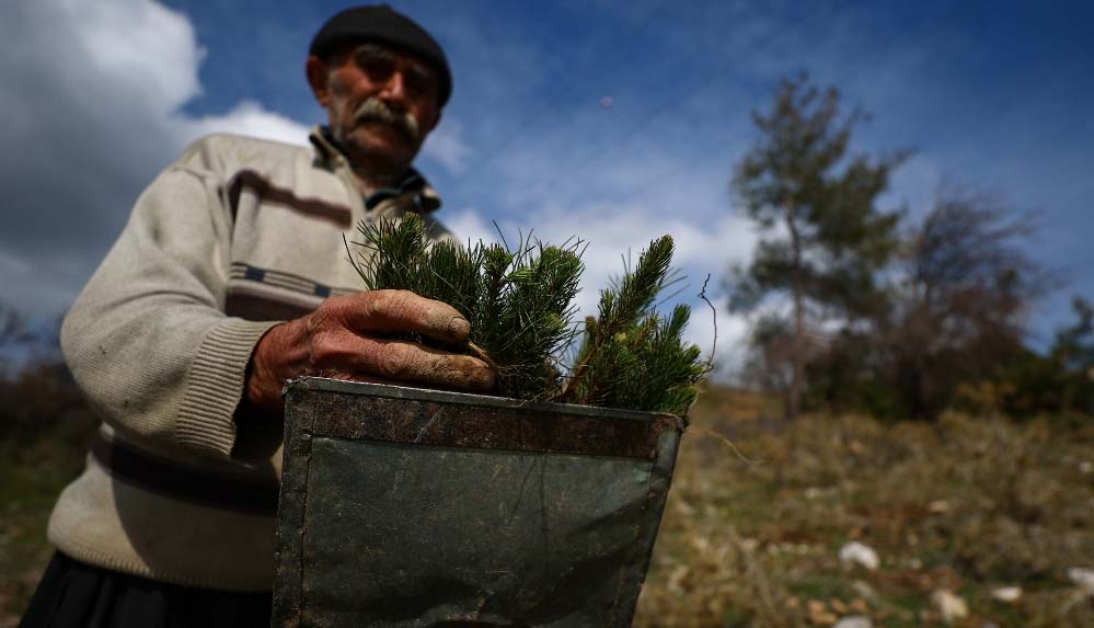 'Fidan dede' 35 yılda 550 bine yakın fidanı toprakla buluşturdu