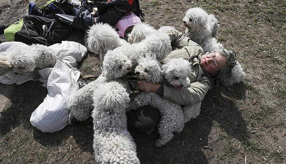 İrpin'den-tahliye-edilen-Ukraynalı-kadın-24-köpeği-de-Kiev'e-getirdi-1