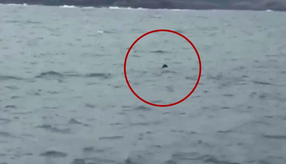 MSB--İstanbul-Boğazı-açıklarındaki-mayın-benzeri-cisme-müdahale-ediliyor