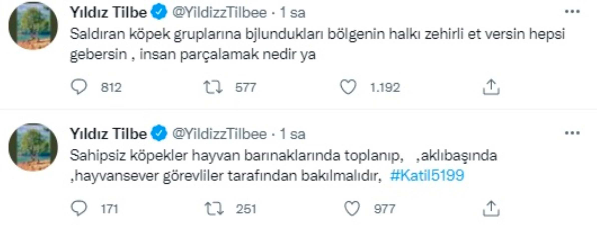 Yıldız Tilbe'den tepki çeken paylaşım: "Saldırgan köpeklere bölge halkı zehirli et versin hepsi..."