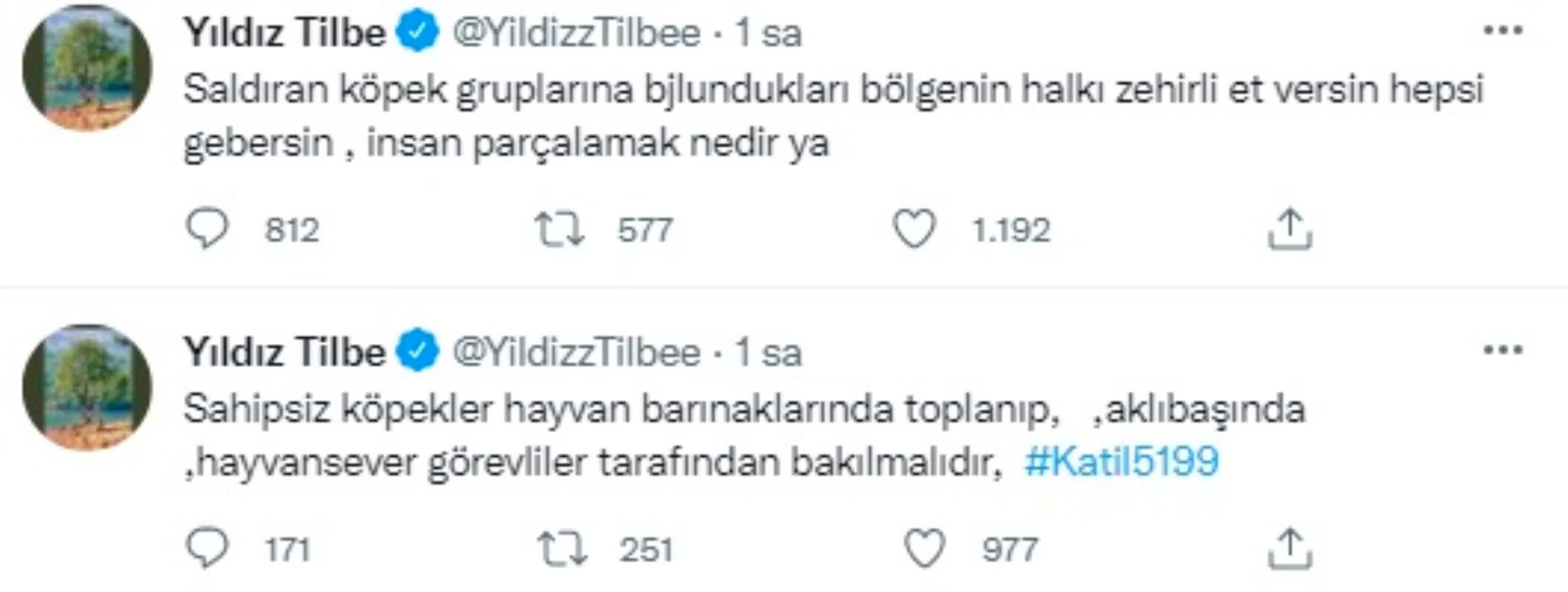 Yıldız Tilbe'den tepki çeken paylaşım: "Saldırgan köpeklere bölge halkı zehirli et versin hepsi..."