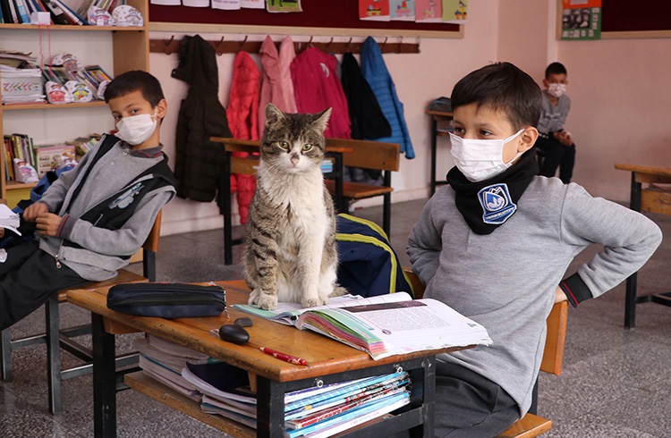 Okulun 161. öğrencisi 'Uykucu'