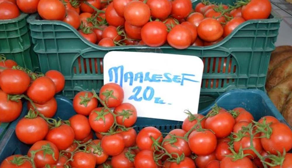 Manavda-'Maalesef'li-fiyat-etiketleri-1