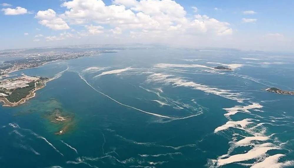 Küresel ısınma sebebiyle Marmara Denizi'nde balık türleri azalıyor