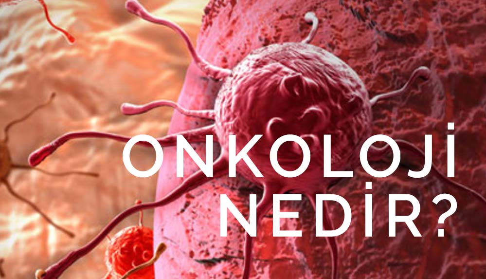 Onkoloji nedir? Onkolog ne iş yapar? En önemli onkolojik hastalıklar