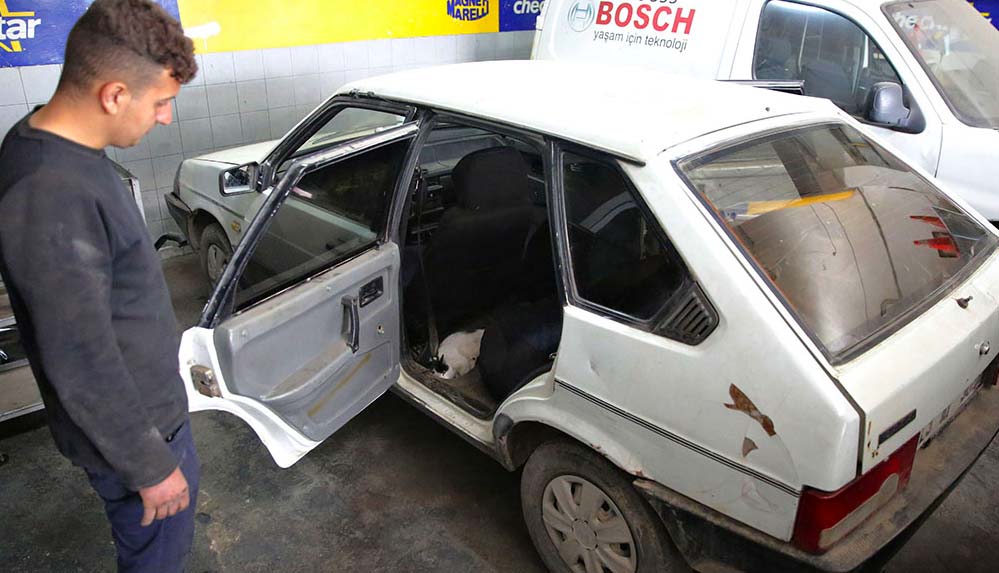 Servis aracını doğum yapan kedi ve yavrularına tahsis etti