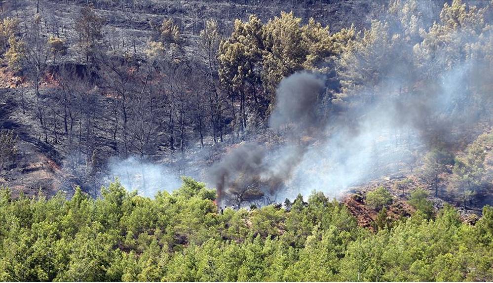 Fethiye'de yıldırım düştü, orman yangını çıktı