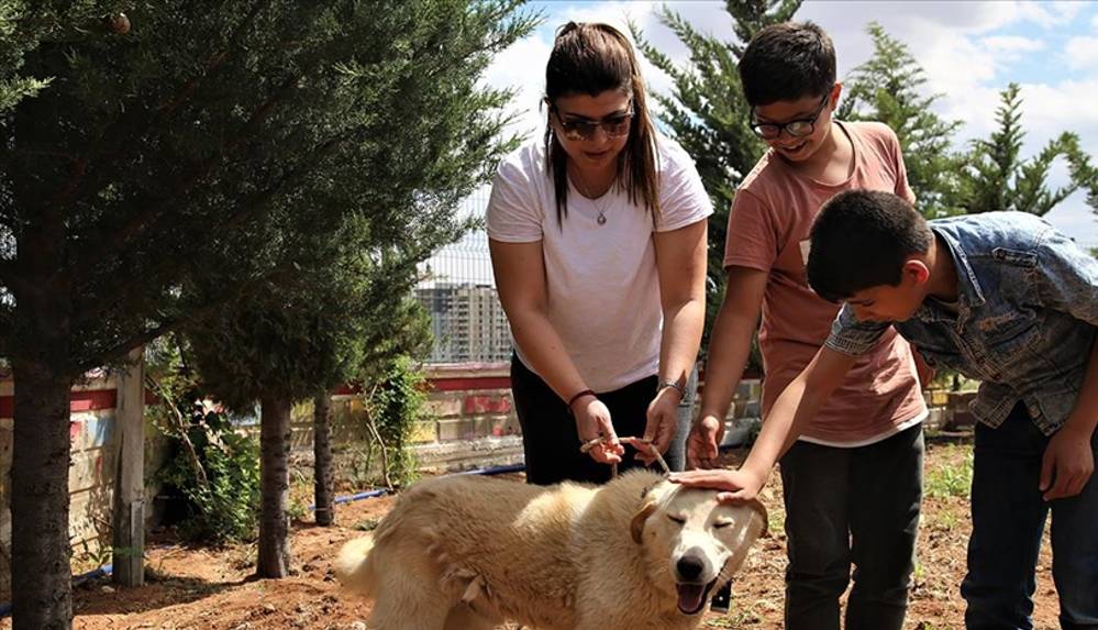 Görme engelli öğrenciler 'Toprak' ile köpek korkularını yendi