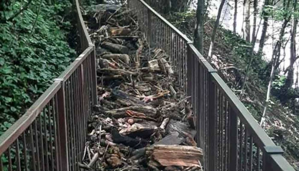 Samandere Şelalesi Tabiat Anıtı sel nedeniyle ziyarete kapatıldı