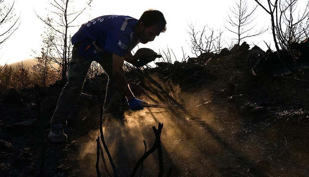 Yangından-toprağın-altına-gizlenerek-kurtulan-hayvanları-arıyorlar