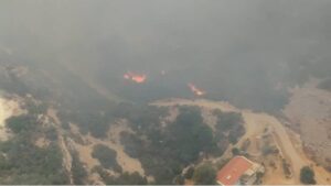 Ali Öztunç, Datça'daki orman yangınları hakkında konuştu: AKP’nin beceriksizliği ormanlarımızın, ciğerlerimizin yanmasına neden oluyor
