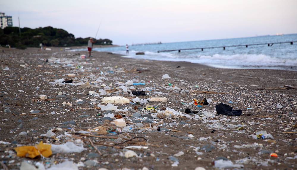 Deniz kaplumbağalarının korunması için 'temiz çevre' uyarısı