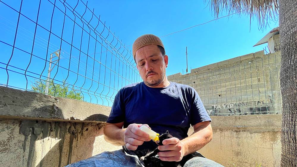 Anneleri ölen kedi yavrularına imam ve cami cemaatinden şefkat eli