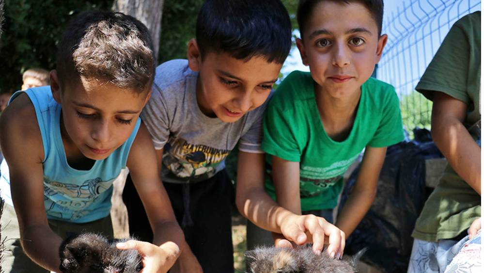 Anneleri ölen kedi yavrularına imam ve cami cemaatinden şefkat eli
