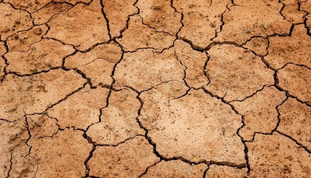 Avrupa topraklarının yarısı kuraklık riski altında
