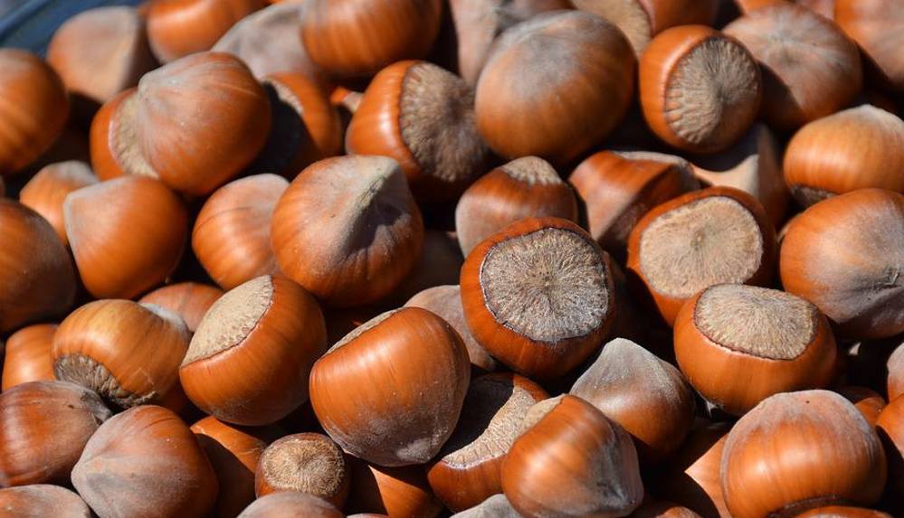 CHP'li Torun'dan Erdoğan'a fındık çağrısıı