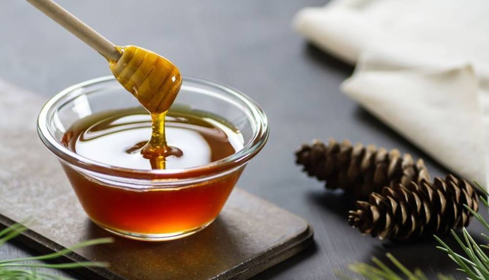 Çam balı orman yangınları nedeniyle bitme noktasına geldi