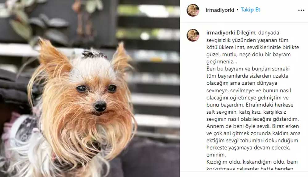 Candan Erçetin'in acı günü: 'Size tavsiyem budur, sadece sevin…"