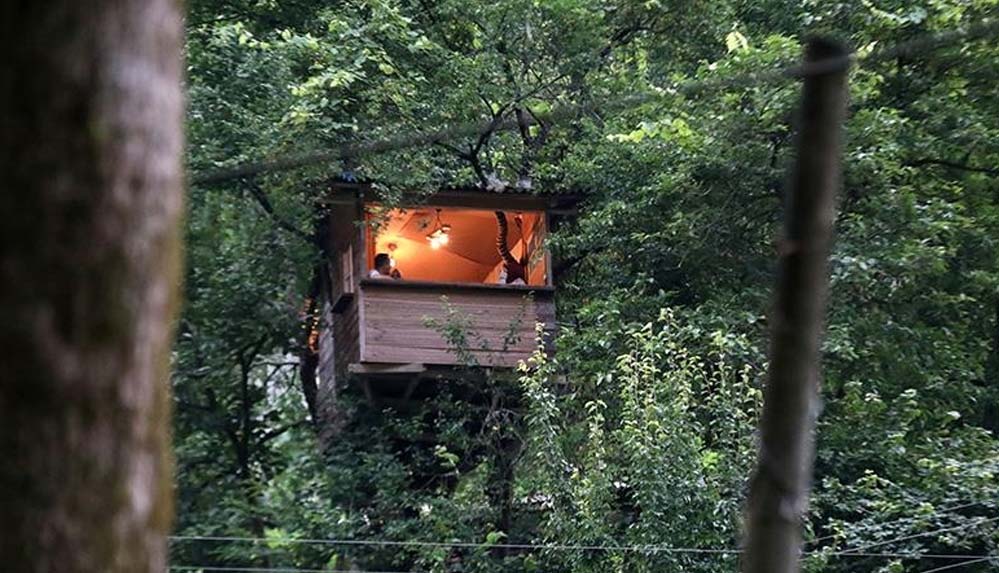 Dört-ağacın-gövdesine-bağlı,-yerden-20-metre-yüksekte-ev-yaptı