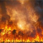 Fransa ve İspanya’da orman yangını yayılıyor! On binlerce kişi tahliye edildi