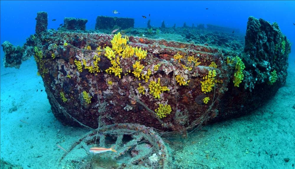 'HMS Majestic' gemisinin batığı görüntülendi