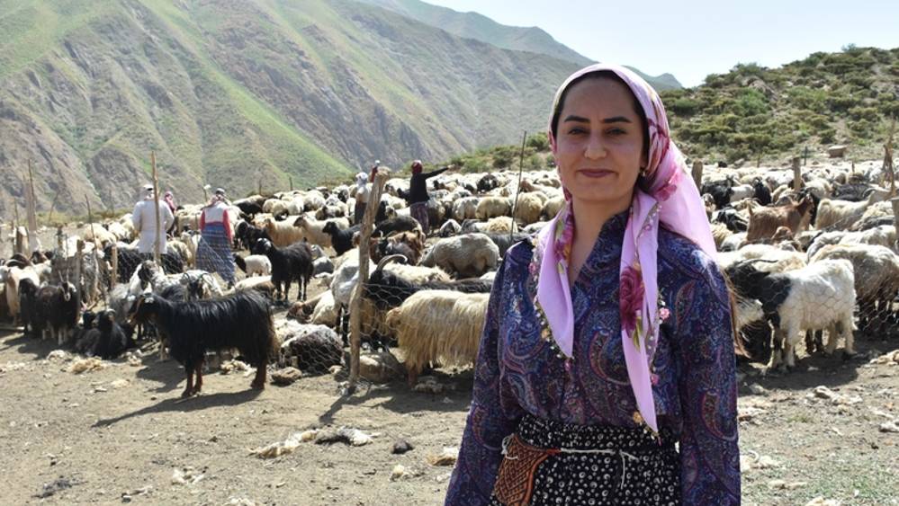 İki üniversite bitiren kadın, hayvancılıktaki başarısıyla hemcinslerine örnek oldu