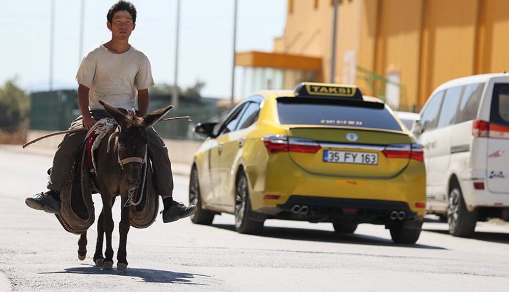 Japon turist Merzifon'dan aldığı eşekle adım adım Türkiye'yi gezdi