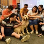 Kahramanmaraş'taki down sendromlu çocukların en yakın arkadaşları 'Max' 14 Kahramanmaraş'taki down sendromlu çocukların en yakın arkadaşları 'Max'jpg