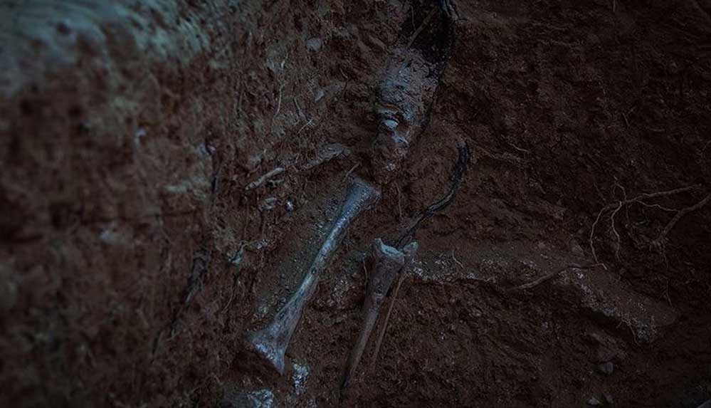 Polonya'da-Nazi-kampı-yakınlarında-en-az-8-bin-cesedin-külünün-olduğu-toplu-mezar-bulundu