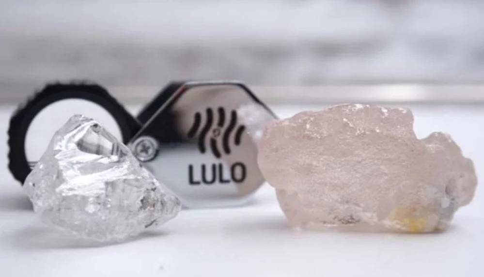 Son 300 yılın en büyük elması bulundu