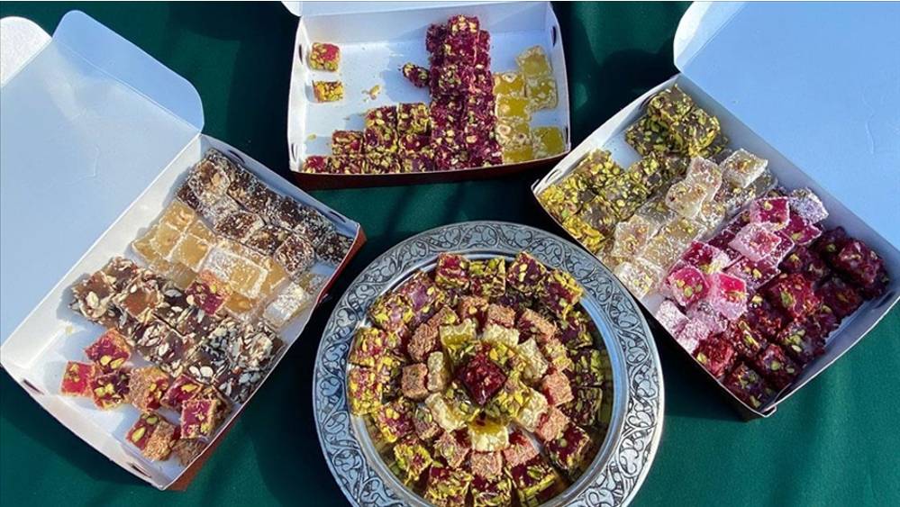 türkiye hırvatistan günleri