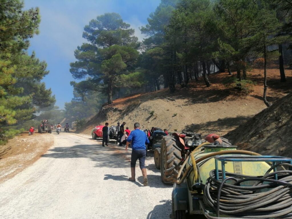 Antalya'da ormanlık alanda yangın çıktı