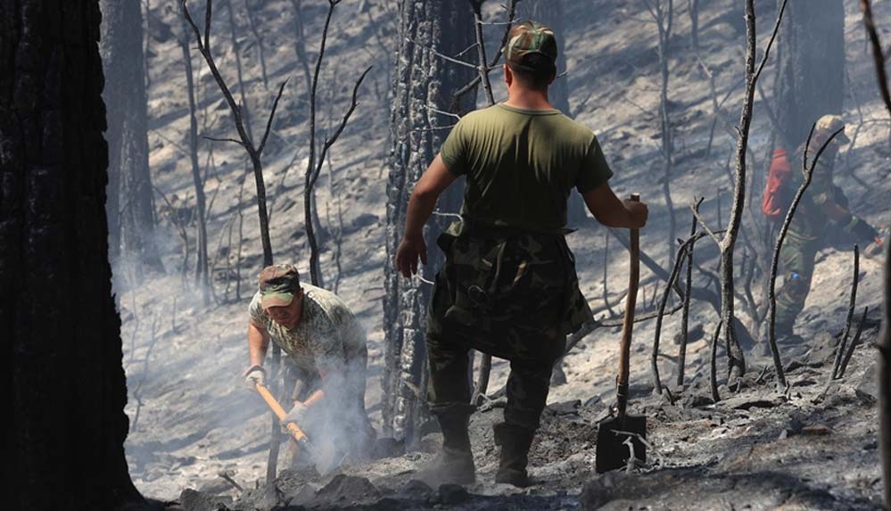 Azerbaycan'da 5 günde 5 bin hektar arazi yandı