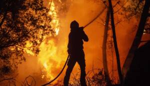 İspanya'da orman yangınlarıyla mücadele kuzeyden güneye devam ediyor