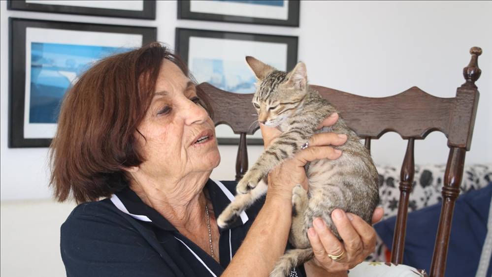 Sahiplendiği 15 kediye anne şefkatiyle bakıyor